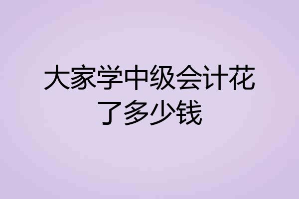 大家学中级会计花了多少钱