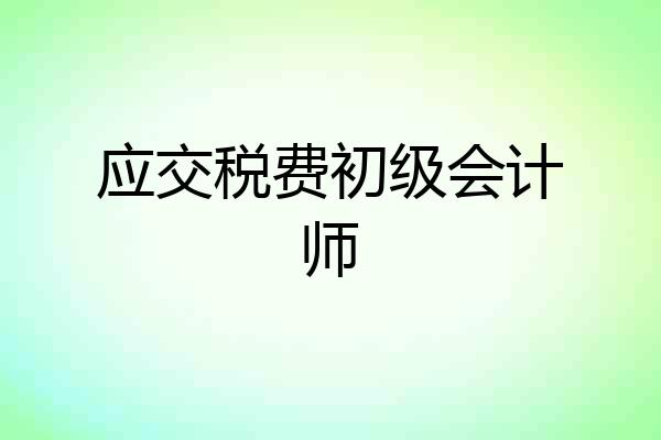 应交税费初级会计师