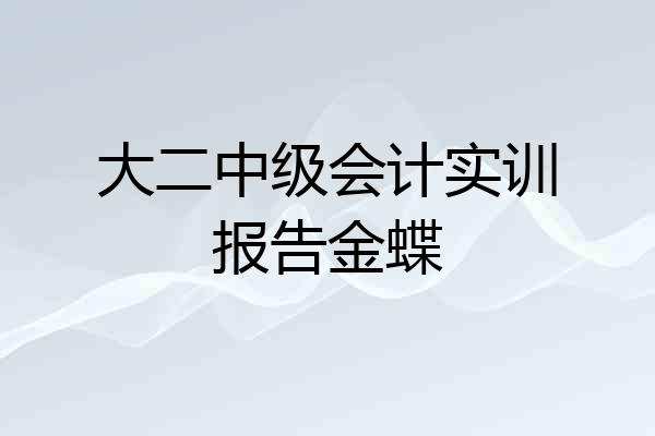 大二中级会计实训报告金蝶