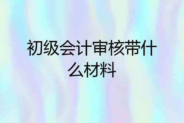 初级会计审核带什么材料