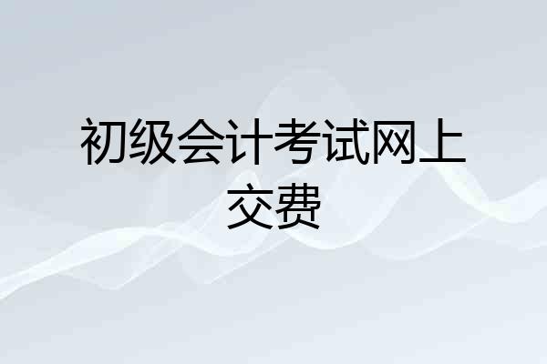 初级会计考试网上交费