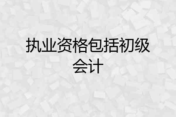 执业资格包括初级会计