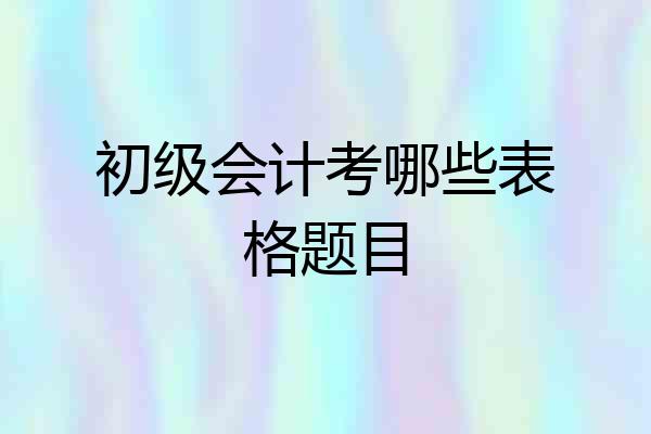 初级会计考哪些表格题目