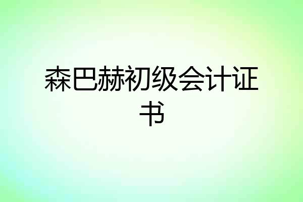 森巴赫初级会计证书