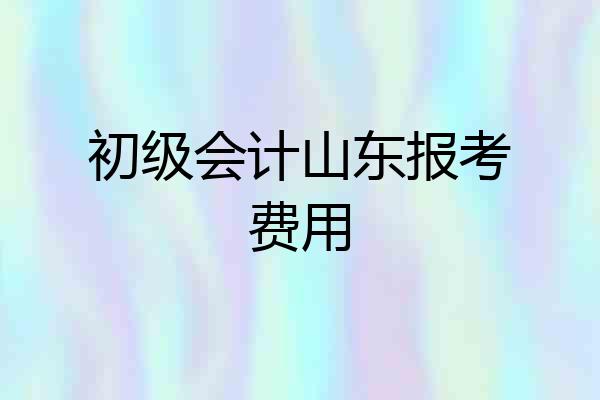 初级会计山东报考费用
