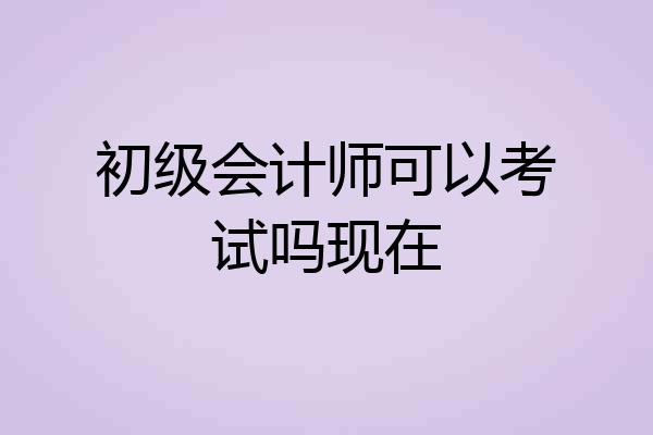 初级会计师可以考试吗现在