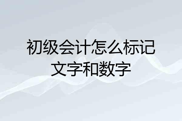 初级会计怎么标记文字和数字