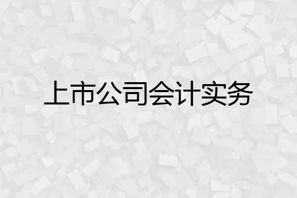 上市公司会计实务