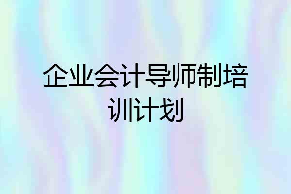 企业会计导师制培训计划