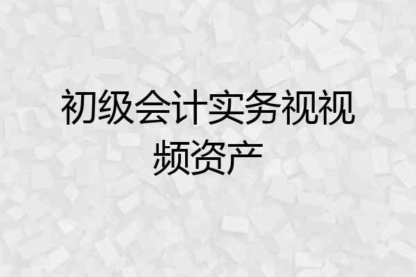 初级会计实务视视频资产