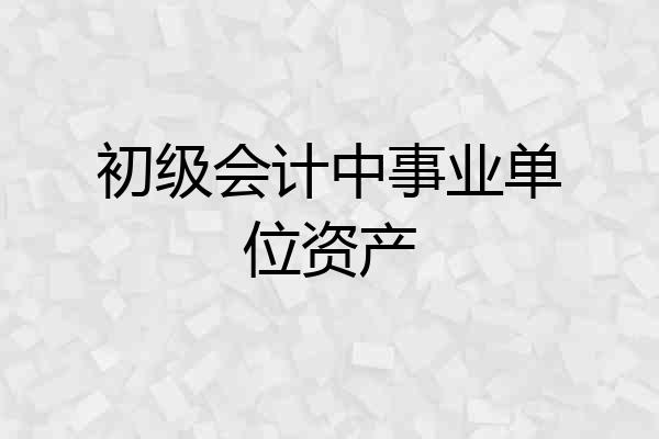 初级会计中事业单位资产