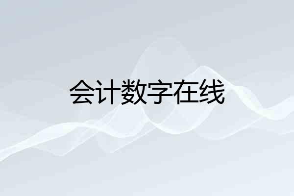 会计数字在线