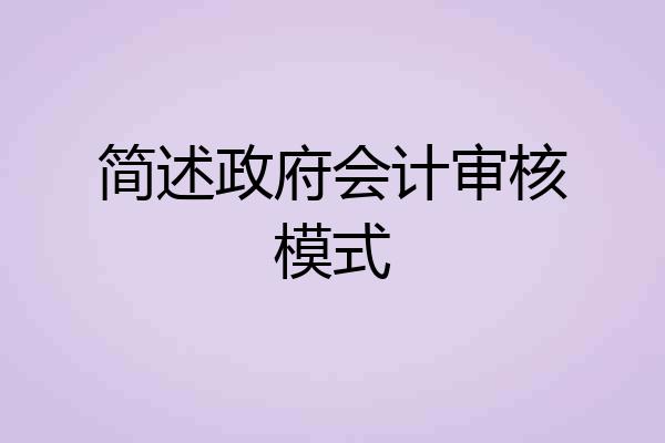 简述政府会计审核模式