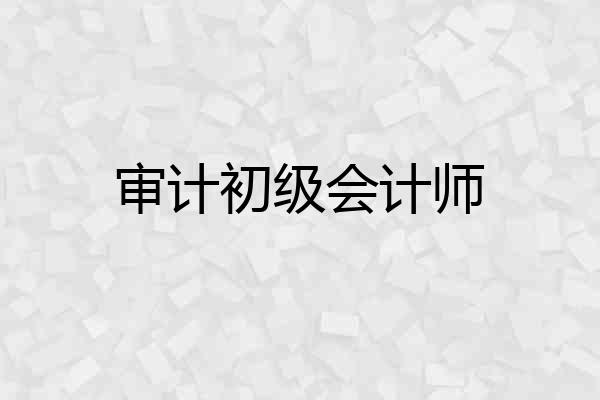 审计初级会计师