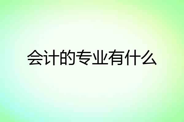 会计的专业有什么