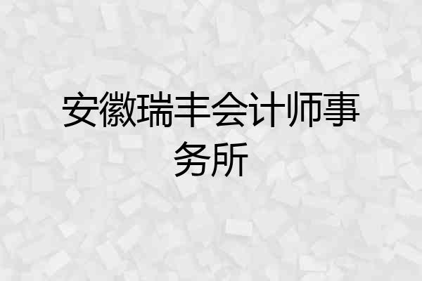 安徽瑞丰会计师事务所
