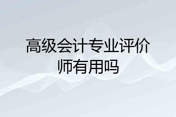 高级会计专业评价师有用吗