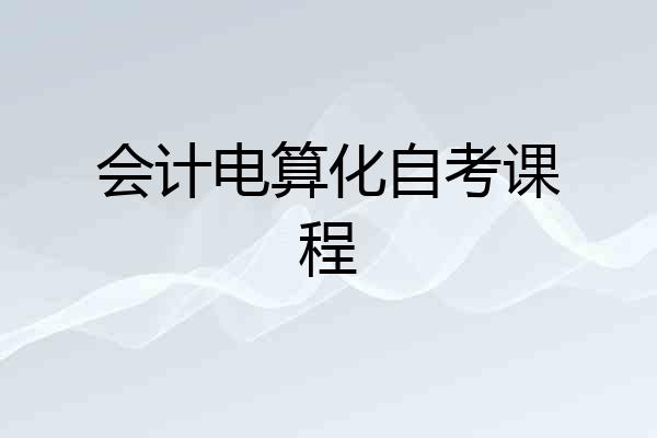 会计电算化自考课程