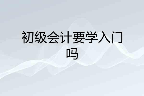 初级会计要学入门吗