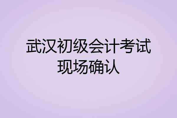 武汉初级会计考试现场确认