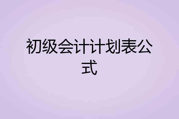 初级会计计划表公式