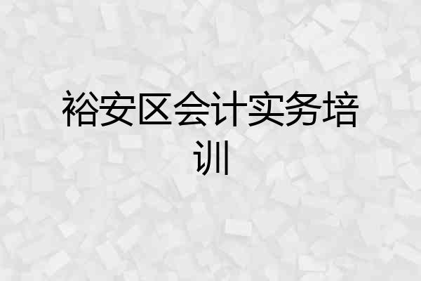 裕安区会计实务培训