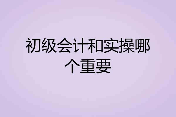 初级会计和实操哪个重要