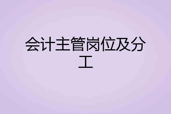 会计主管岗位及分工