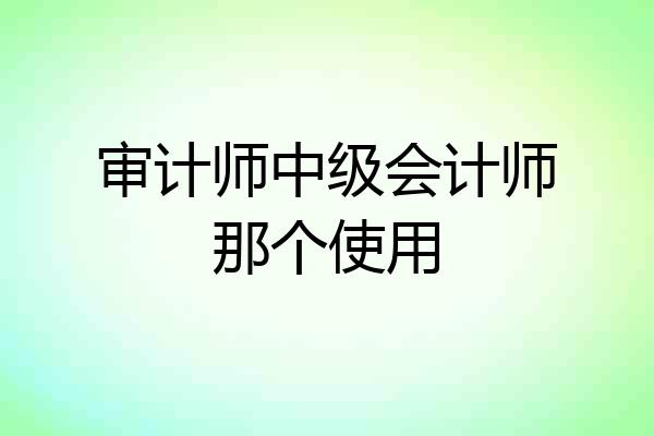 审计师中级会计师那个使用