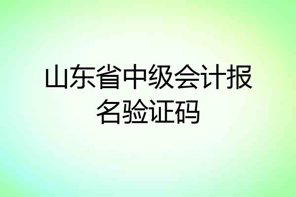山东省中级会计报名验证码