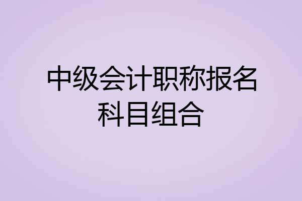 中级会计职称报名科目组合