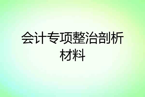 会计专项整治剖析材料