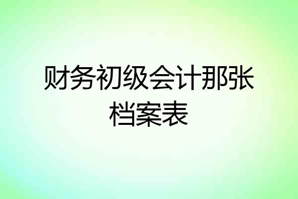 财务初级会计那张档案表