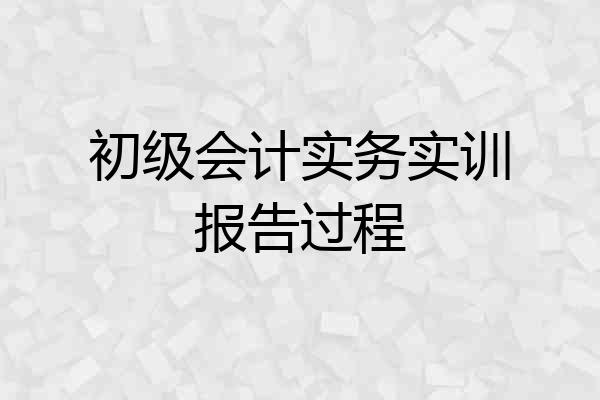 初级会计实务实训报告过程