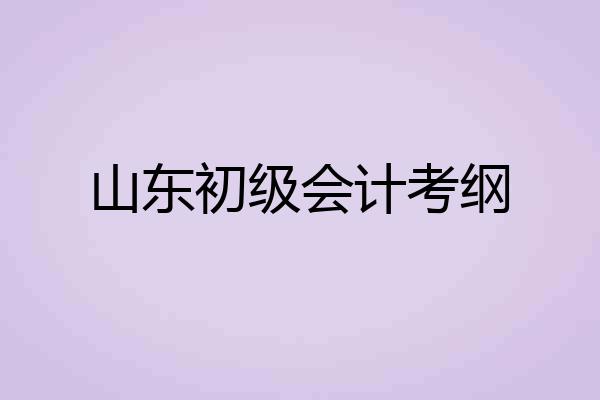 山东初级会计考纲