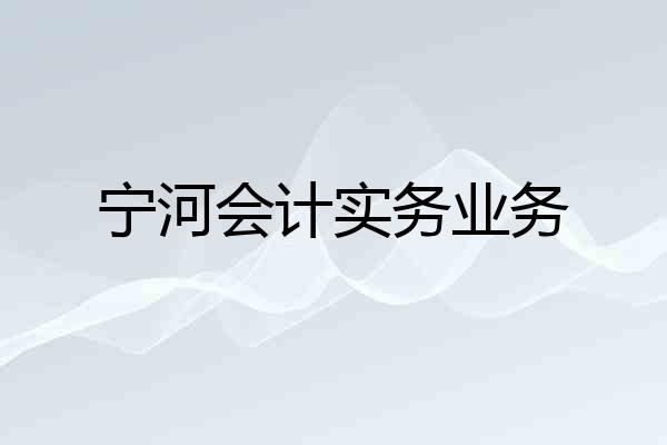 宁河会计实务业务