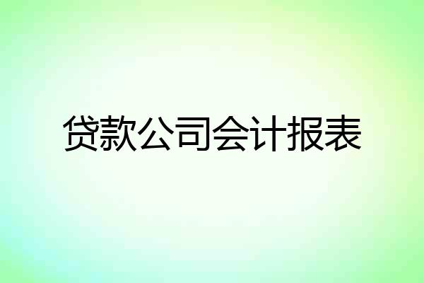 贷款公司会计报表