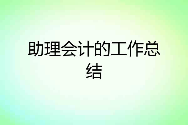 助理会计的工作总结