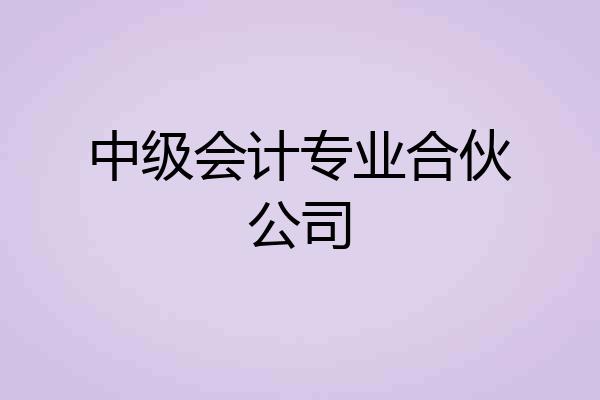 中级会计专业合伙公司