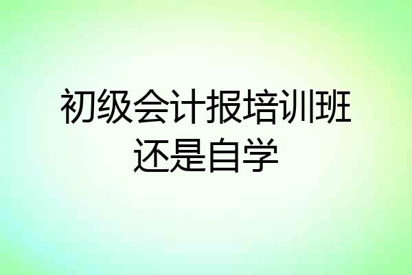 初级会计报培训班还是自学