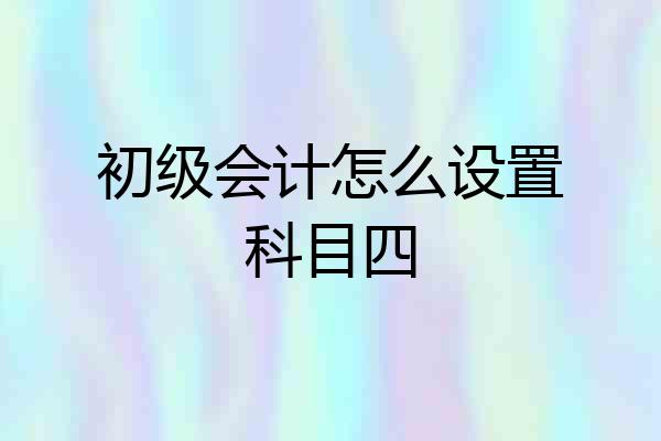 初级会计怎么设置科目四