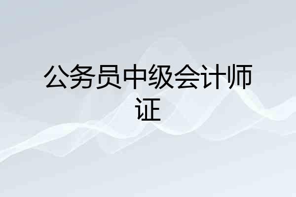 公务员中级会计师证