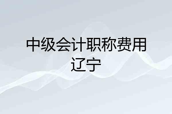 中级会计职称费用辽宁
