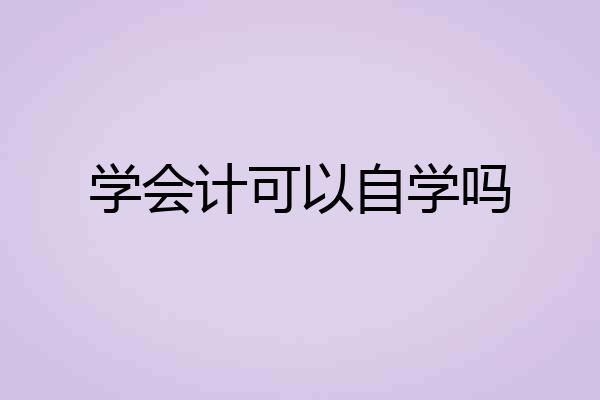 学会计可以自学吗
