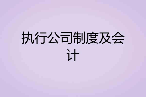 执行公司制度及会计