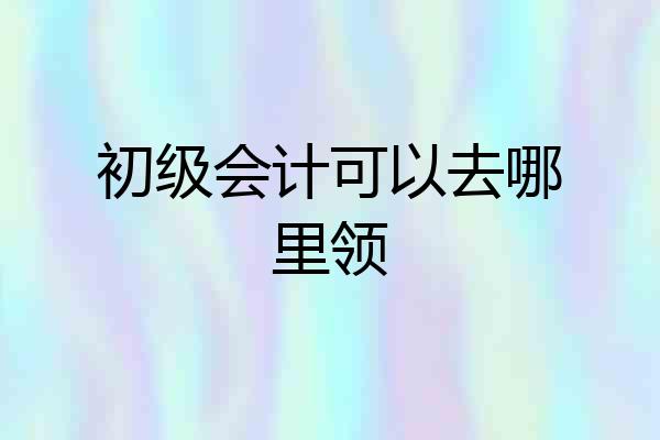 初级会计可以去哪里领