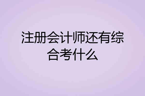 注册会计师还有综合考什么
