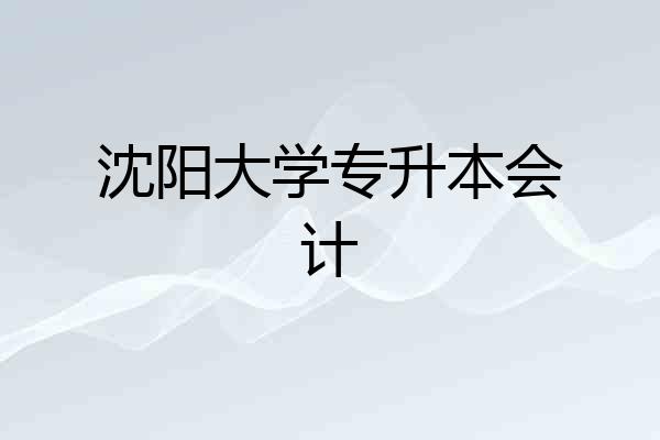 沈阳大学专升本会计