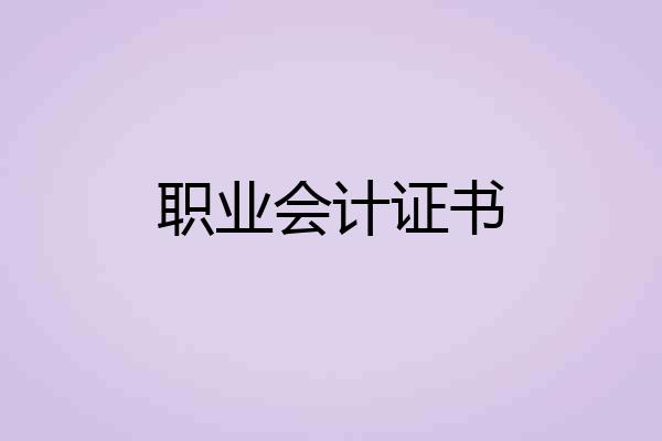 职业会计证书