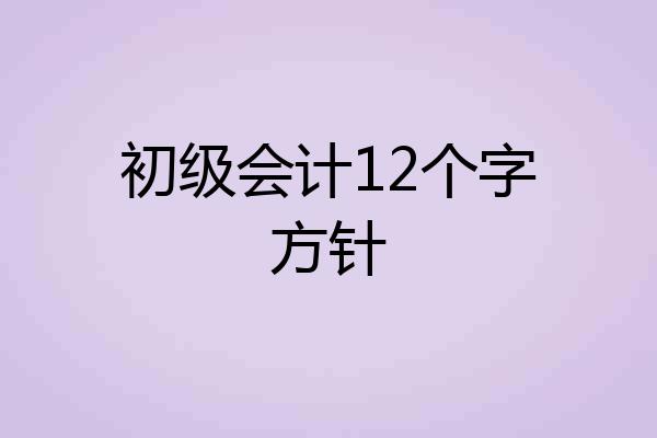 初级会计12个字方针